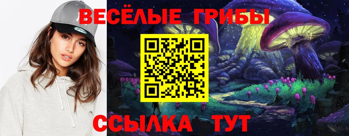 Галлюциногенные грибы мухоморы  Вход с VPN  Туапсе 