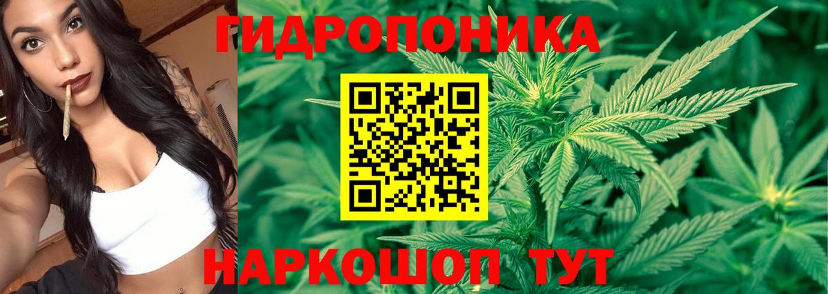 Канабис Bruce Banner Туапсе